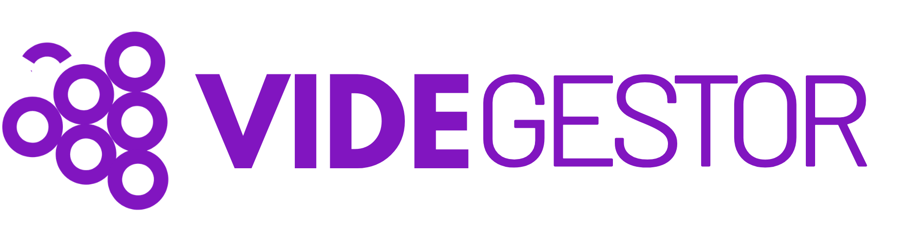 VideGestão
